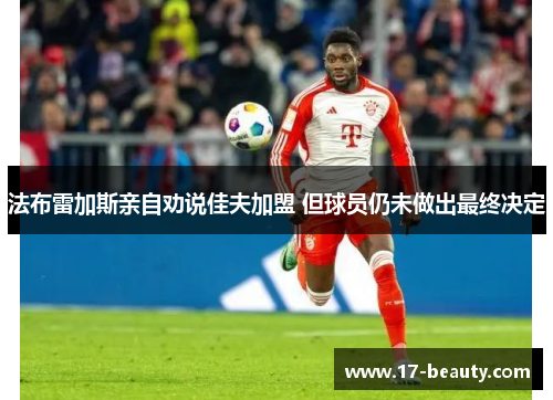 法布雷加斯亲自劝说佳夫加盟 但球员仍未做出最终决定