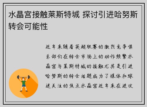 水晶宫接触莱斯特城 探讨引进哈努斯转会可能性