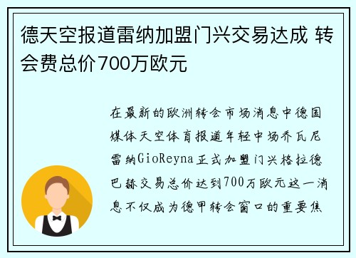 德天空报道雷纳加盟门兴交易达成 转会费总价700万欧元